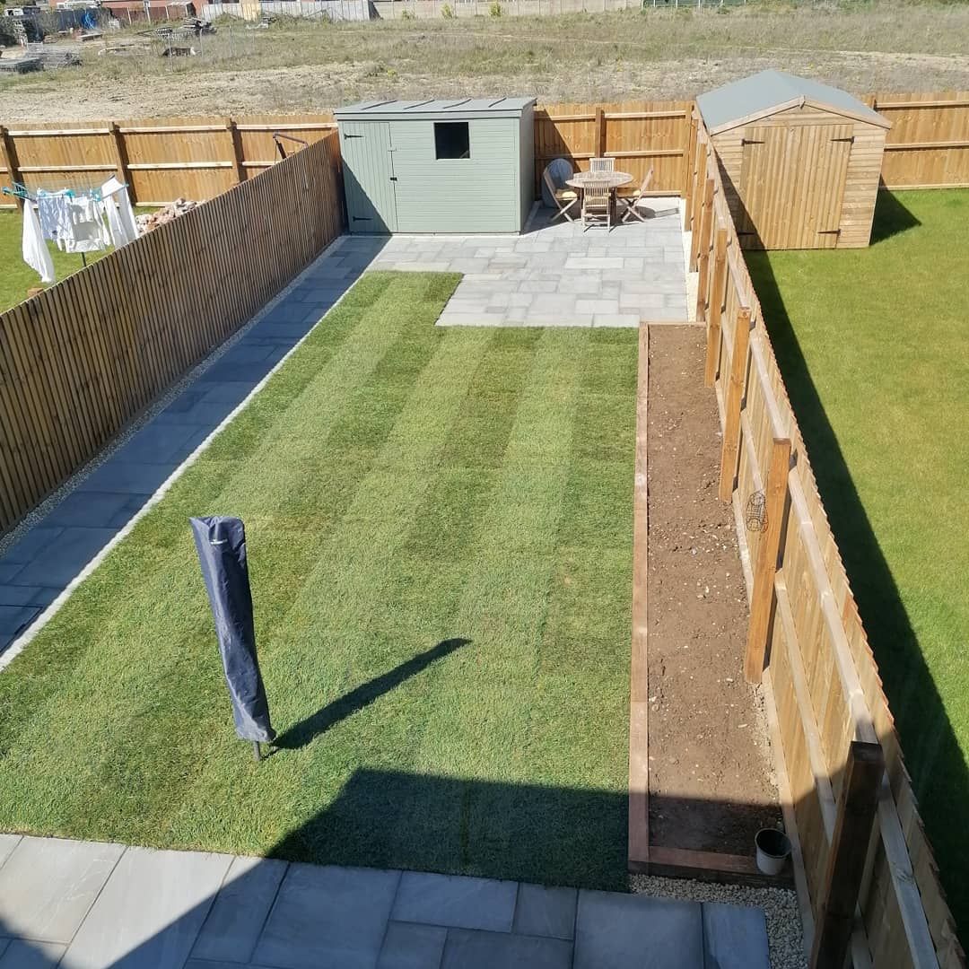 Newly laid turf in a fenced garden with sheds